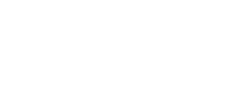 Foresee Property Solutions logo